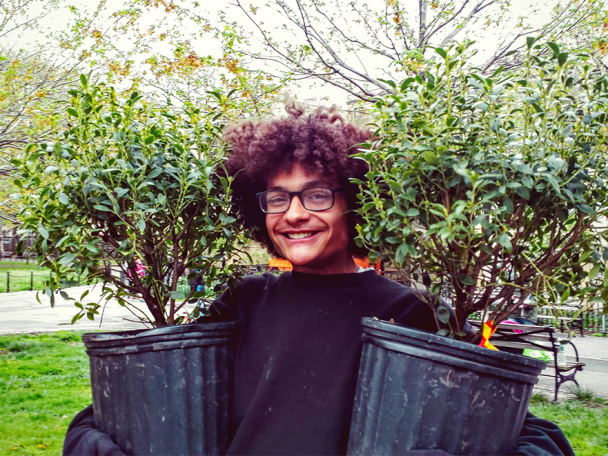 volunteer holding up nursery trees