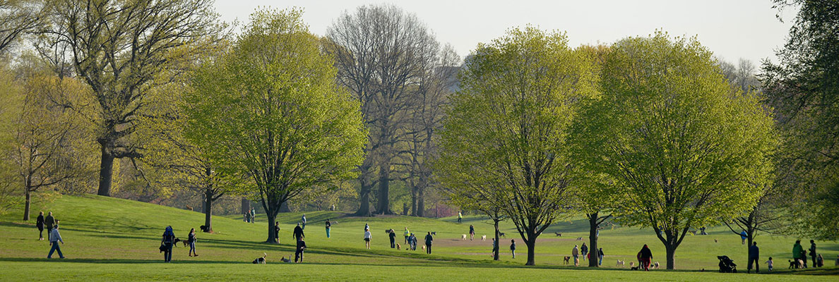 Jobs at NYC Banner - Prospect Park